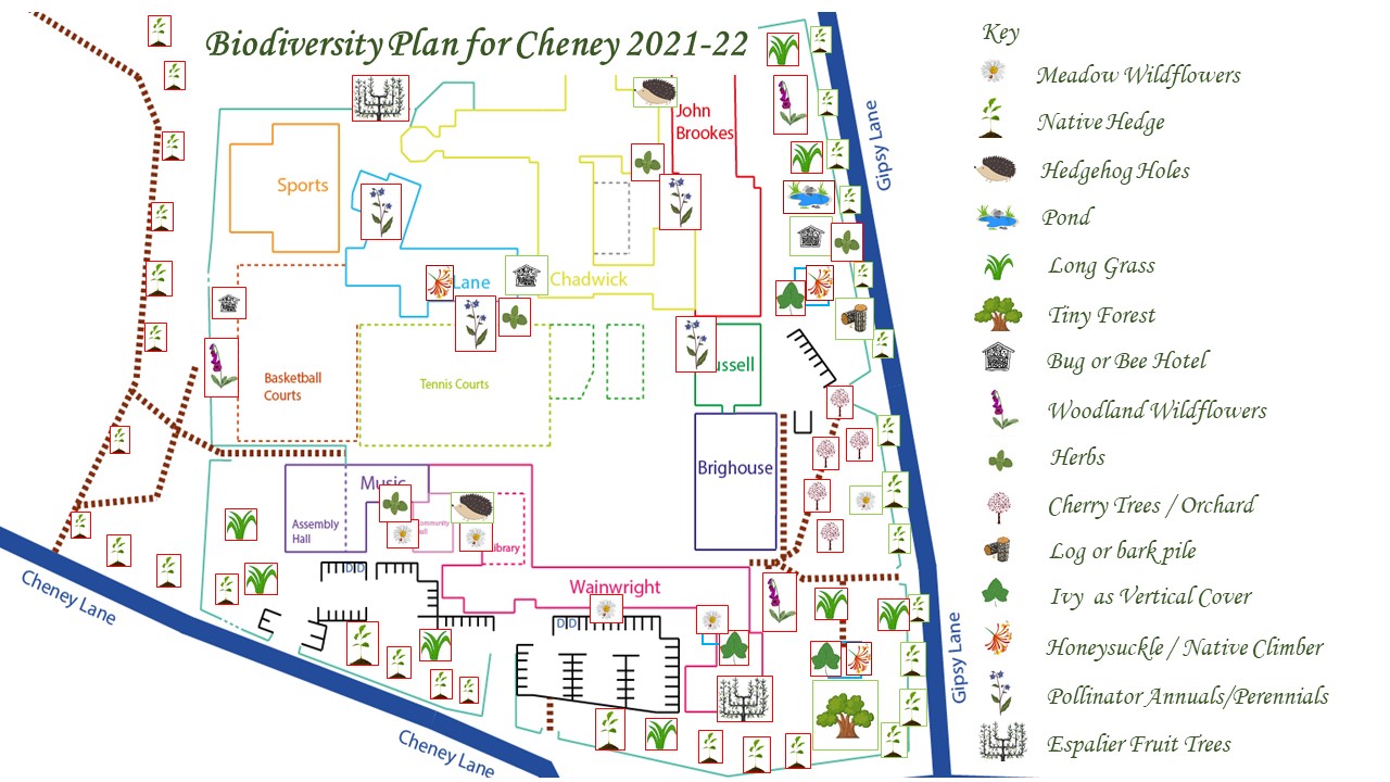 biodiversity plan