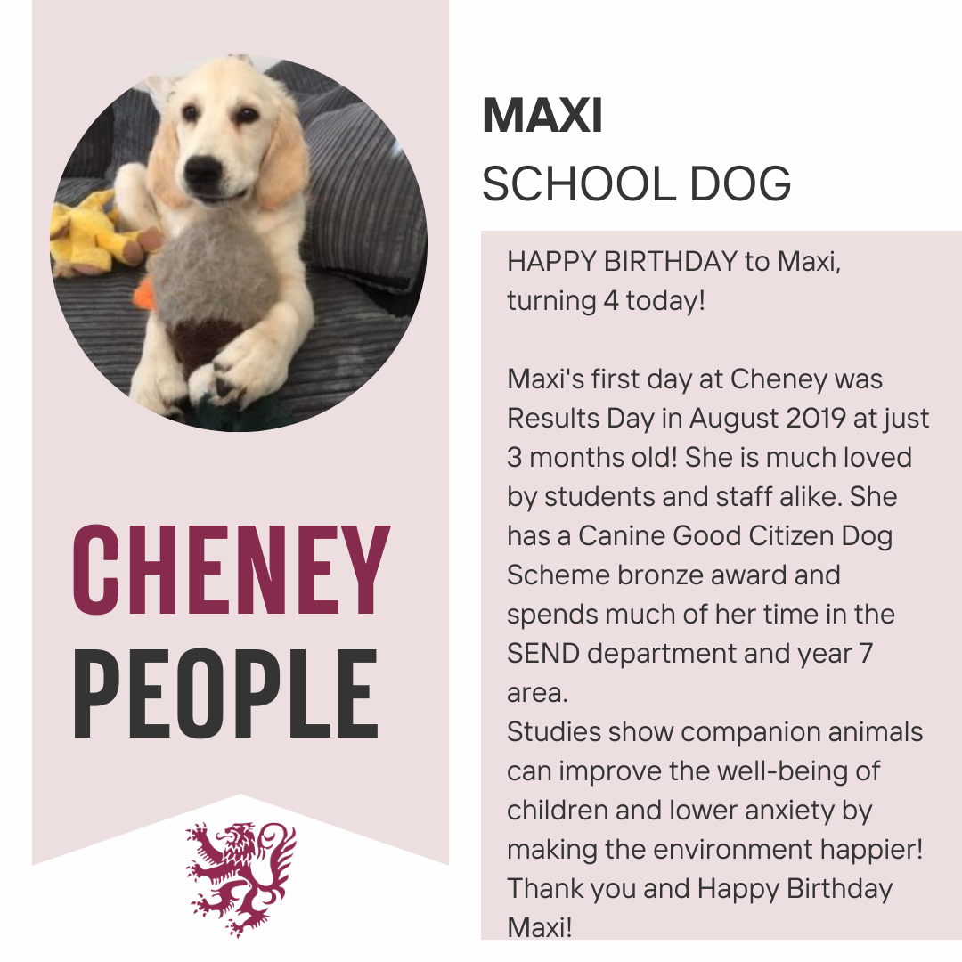 Cheney People - Maxi, the school dog